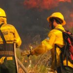 Incendios forestales: “Las condiciones están dadas por eso tenemos que prevenirlos”