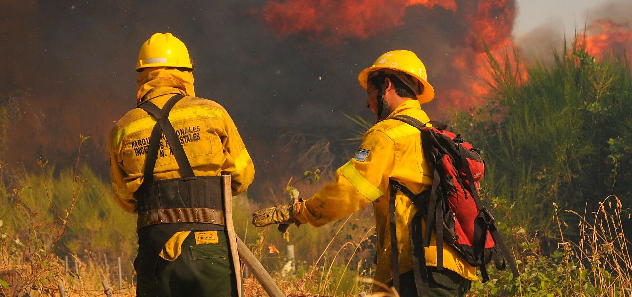 Lee más sobre el artículo Incendios forestales: “Las condiciones están dadas por eso tenemos que prevenirlos”