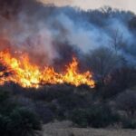 Estiman que Córdoba ya perdió 47 mil hectáreas por incendios forestales