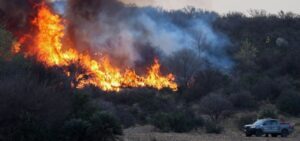 Lee más sobre el artículo Estiman que Córdoba ya perdió 47 mil hectáreas por incendios forestales