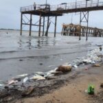 Estudian la mortandad de peces en las orillas del Río Paraná ante riesgo de contaminación