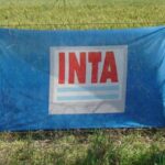 Desmantelar el INTA: “Todo cambio de época tiene un movimiento de deconstrucción, pero no de destrucción”