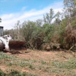 Afirman que ganaderos presionan por la vuelta de maquinarias a los humedales
