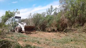 Lee más sobre el artículo Afirman que ganaderos presionan por la vuelta de maquinarias a los humedales