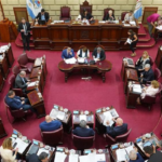 Celia Arena: “Nuestro proyecto dice taxativamente que esta reforma no permite la reelección para el actual gobernador”