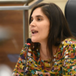 Julia Irigoitía: “La ordenanza del Ejecutivo busca sacarle responsabilidades al Concejo”