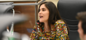 Lee más sobre el artículo Julia Irigoitía: “La ordenanza del Ejecutivo busca sacarle responsabilidades al Concejo”