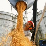 Según Fisfe 6 de cada 10 ramas industriales mostraron caídas en la provincia