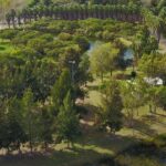 Pulmones verdes de la región: Trabajar en el cuidado y la defensa de la naturaleza
