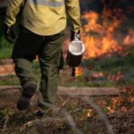 Combatir el fuego forestal: cómo es el entrenamiento y capacitación de los brigadistas