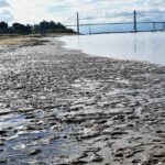 Denuncian que el Instituto Nacional del Agua está en peligro