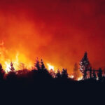 El incendio en el parque Nahuel Huapi ya arrasó 6 mil hectáreas y peligra la biodiversidad