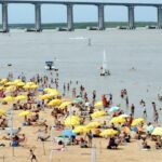 Reportan nuevos ataques de palometas en las islas frente a Rosario