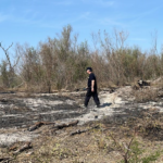 Incendios en el Delta: arrasaron 7 kilómetros cuadrados en la Isla de Los Mástiles