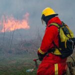Prevención y conciencia: Qué efectos deja un incendio en el ecosistema de las islas