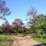 Vecinos del Parque Regional Sur denuncian abandono y posible usurpación del espacio verde