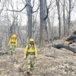 Incendios forestales en El Bolsón: la lluvia trajo alivio pero más de 4.000 hectáreas quedaron arrasadas