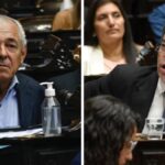 Diputados santafesinos divididos: así votaron el DNU para el acuerdo con el FMI