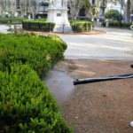 Santa Fe redujo en un 97 por ciento los casos de dengue en verano
