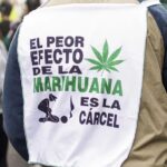 MMM 2025: “Peleamos por la inmediata derogación de la Ley de Drogas”
