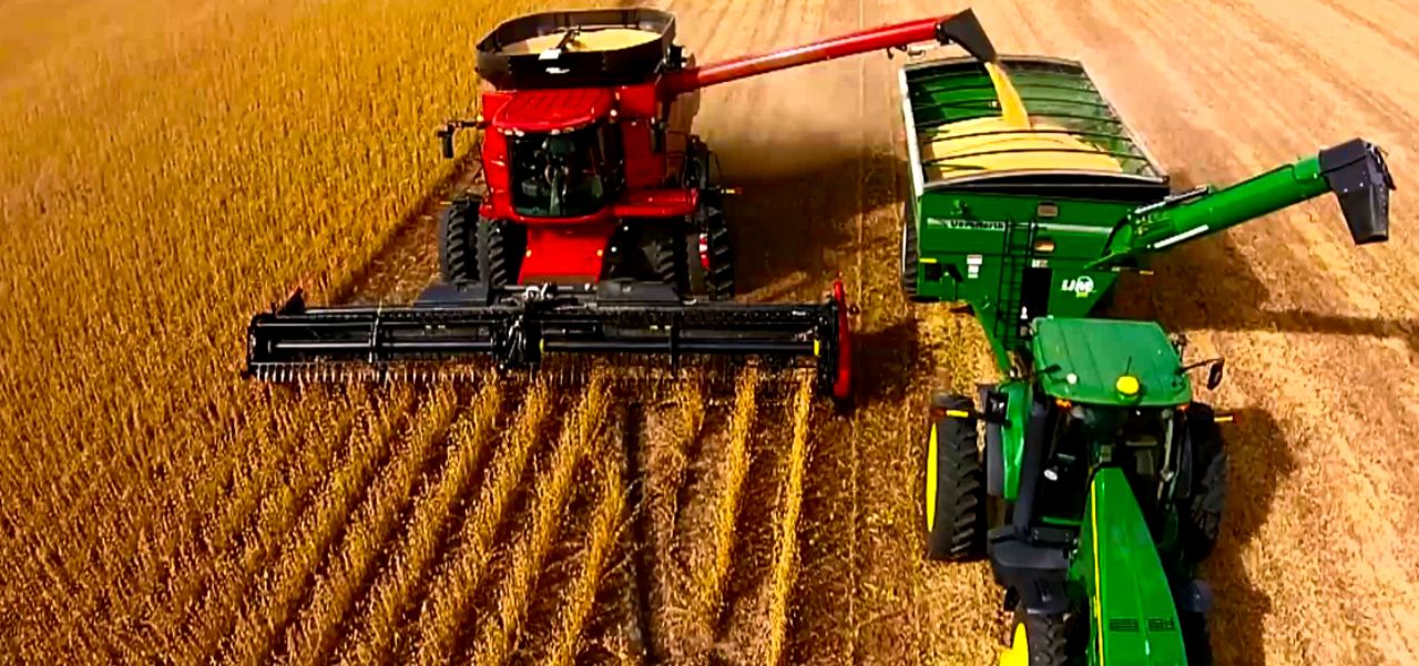 Lee más sobre el artículo El campo y la industria: Novedades de dos sectores dinámicos de la producción santafesina