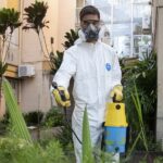 El dengue sigue activo: aumentaron 61% los casos en una semana pero son 93% menos que en 2024