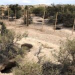 Ambientalistas en alerta: Podrían revertir un fallo histórico