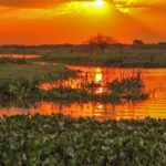 Por una cláusula ambiental en la nueva Constitución provincial
