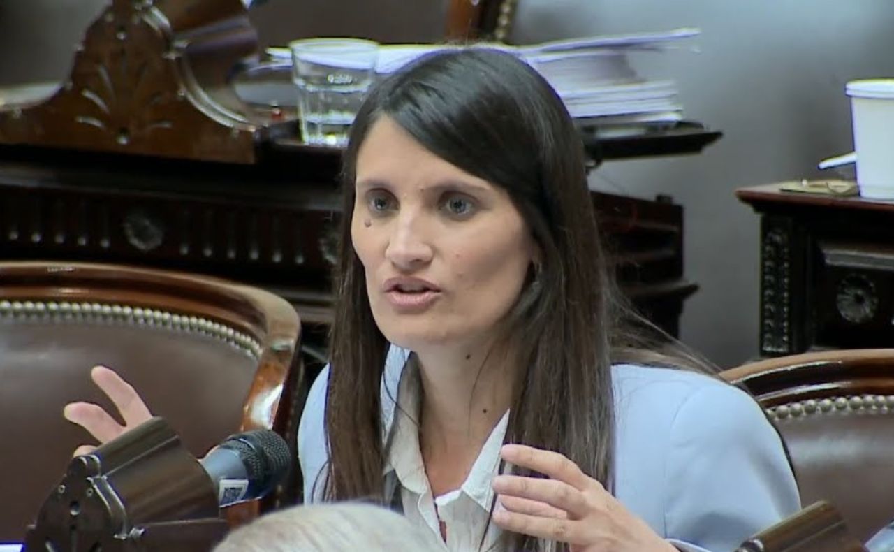 Lee más sobre el artículo Giorgi sobre el fallo contra CFK: “La justicia dijo nunca más a los hechos de corrupción en Argentina”
