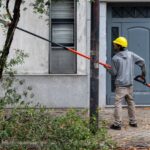 Advierten que en Rosario existe “un destrato general con el tema del arbolado”
