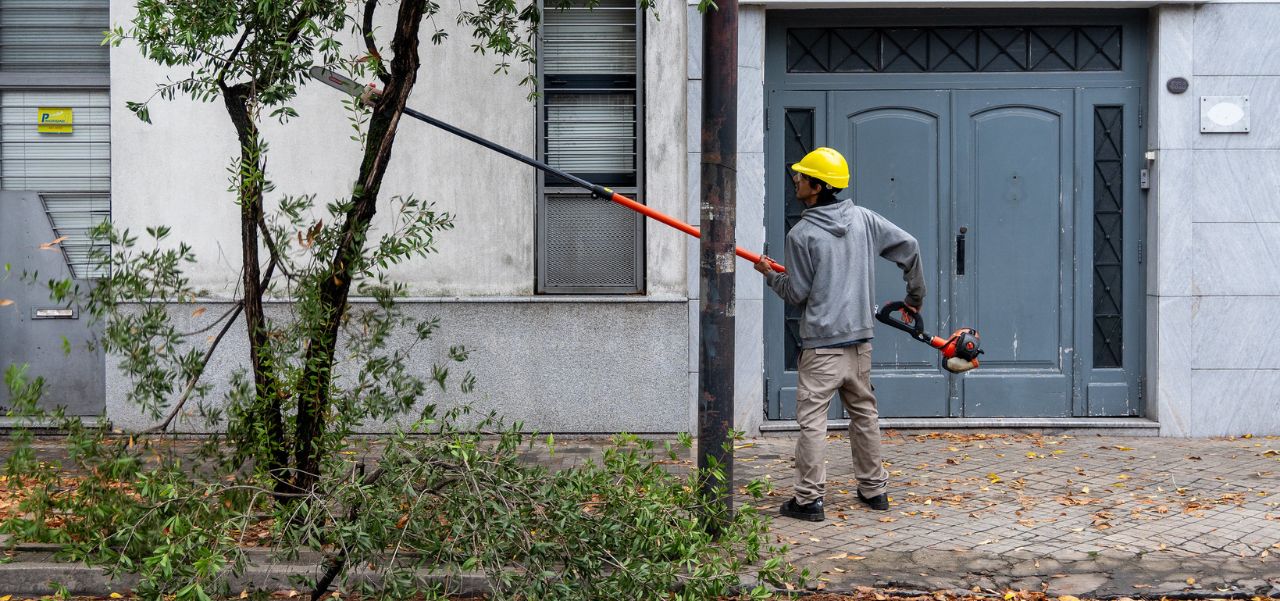 Lee más sobre el artículo Advierten que en Rosario existe “un destrato general con el tema del arbolado”