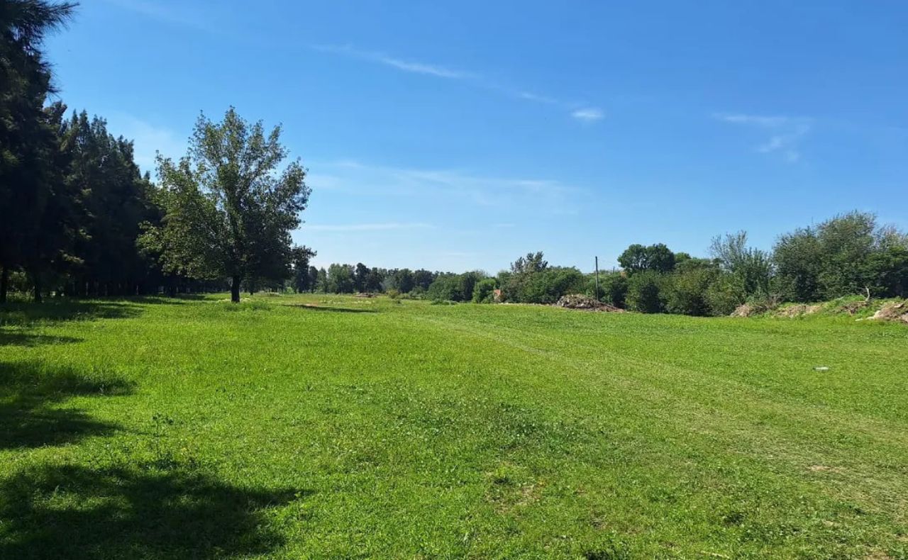 Lee más sobre el artículo Denuncian que en el Concejo Municipal no se debate sobre la nueva cancha de golf en Rosario