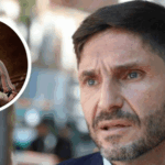 Pullaro: “Los argentinos tenemos que entender que nadie puede ni debe estar por encima de la ley”