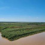 Denuncian que pretenden concesionar una isla sin respetar que es un Área Natural Protegida