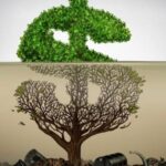 El greenwashing: Una estrategia para atraer a “nuevos” consumidores