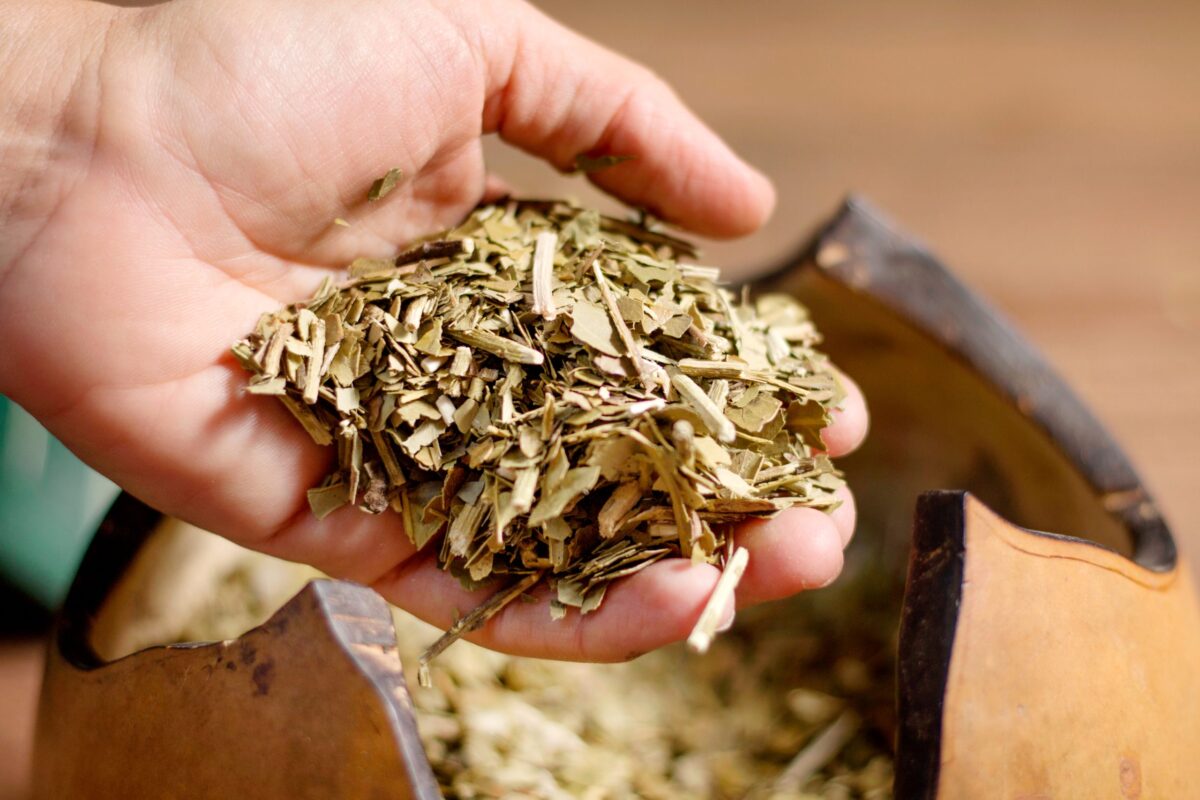 Lee más sobre el artículo Desregulación del precio de la hoja de yerba mate: “Es un golpe mortal”