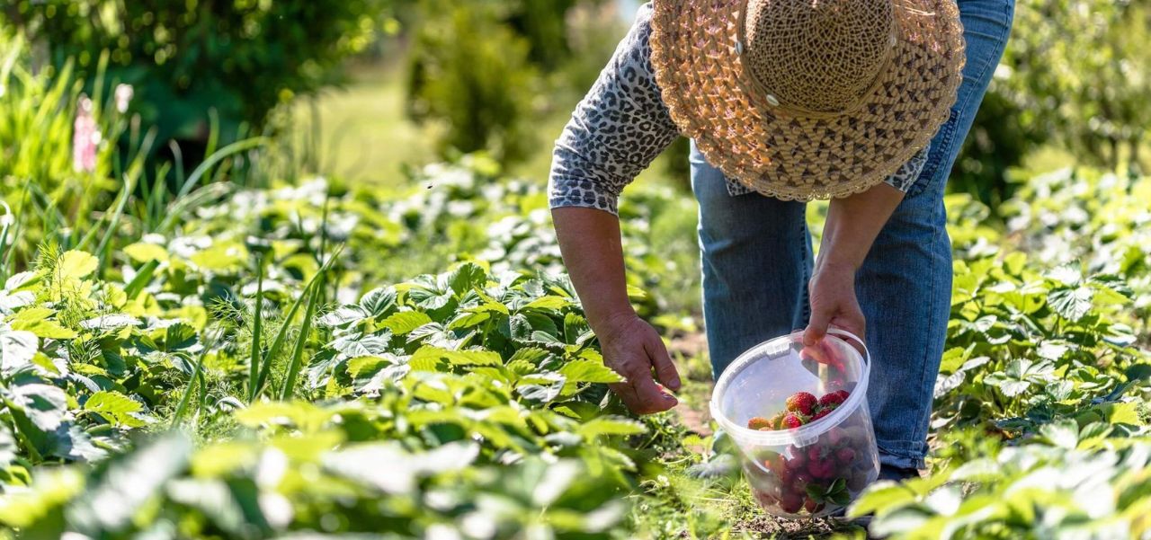 Lee más sobre el artículo Afirman que el pequeño productor agropecuario y de economías regionales “están en vías de extinción”