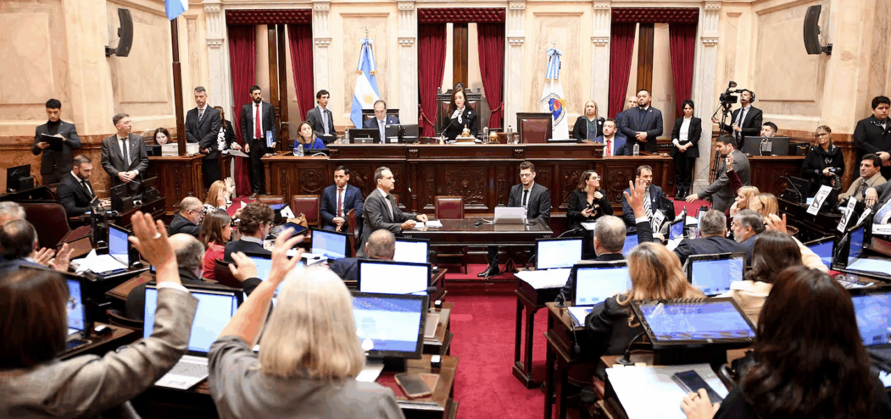 Lee más sobre el artículo La oposición acelera en el Senado el debate por universidades y emergencia pediátrica