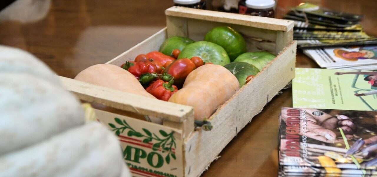 Lee más sobre el artículo Alimentar Ciudades: Rosario impulsa la agroecología y el acceso a alimentos sanos