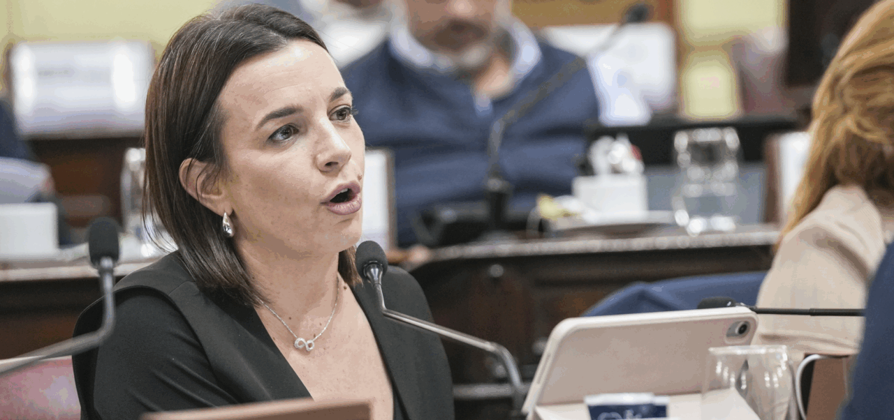 Lee más sobre el artículo De Ponti sobre la reforma: “Pudimos incorporar gran parte de la agenda de los santafesinos al texto definitivo”