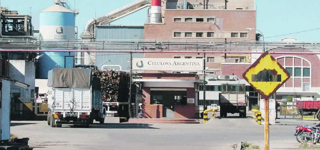 Lee más sobre el artículo Celulosa Argentina se declaró en concurso de acreedores en medio de pérdidas millonarias
