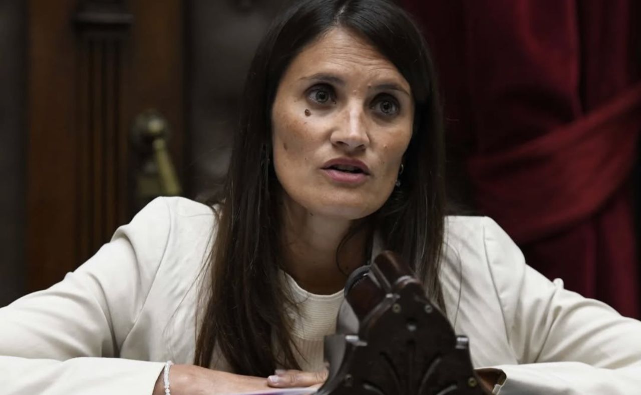 Lee más sobre el artículo Melina Giorgi: “Voy a votar en contra del veto, incluso más aún luego del anuncio del presidente”