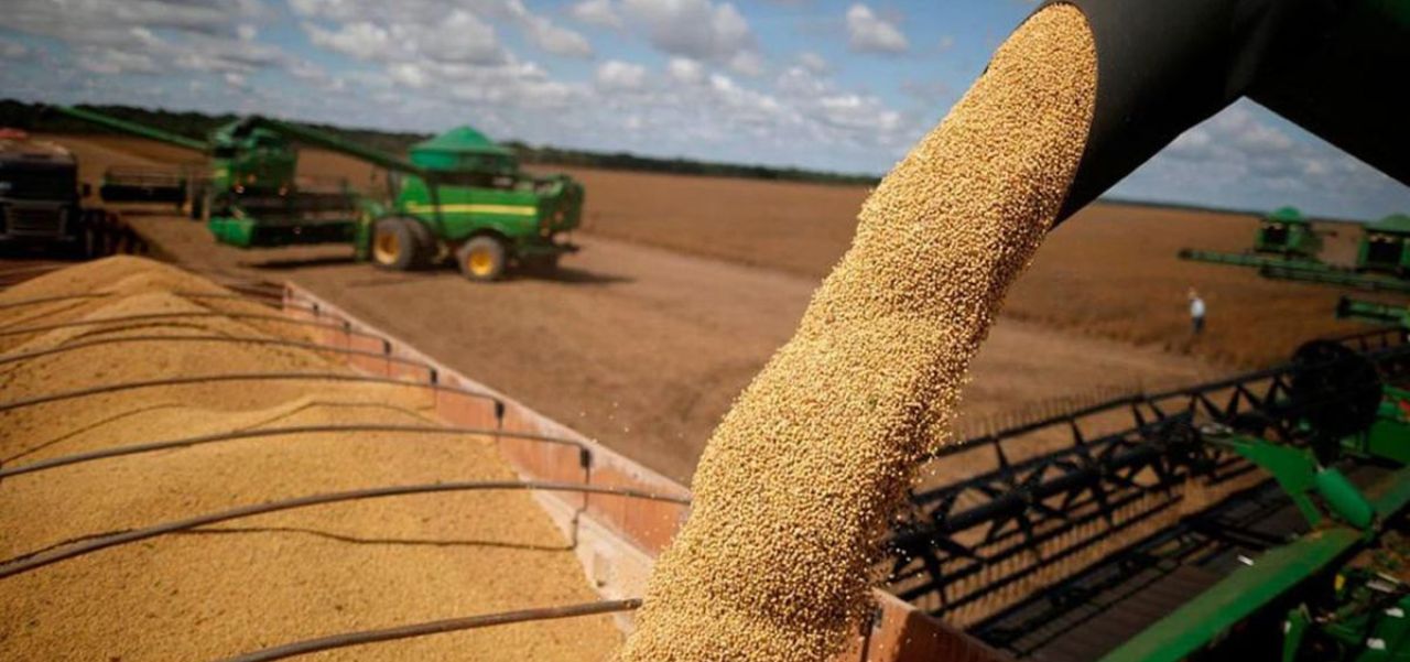 Lee más sobre el artículo Retenciones Cero: “Fue una estafa a cielo abierto, al fisco y a los productores agropecuarios”