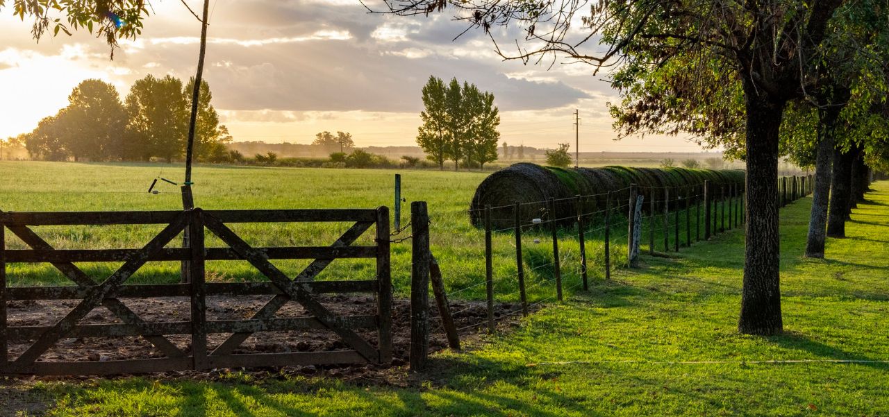 Lee más sobre el artículo El apoyo a Fuerza Patria en las secciones “rurales” bonaerenses