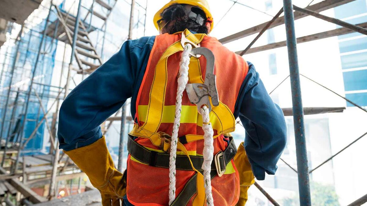 Lee más sobre el artículo Serrano Alou: “El proyecto plantea un retroceso histórico en materia de protección del trabajo”