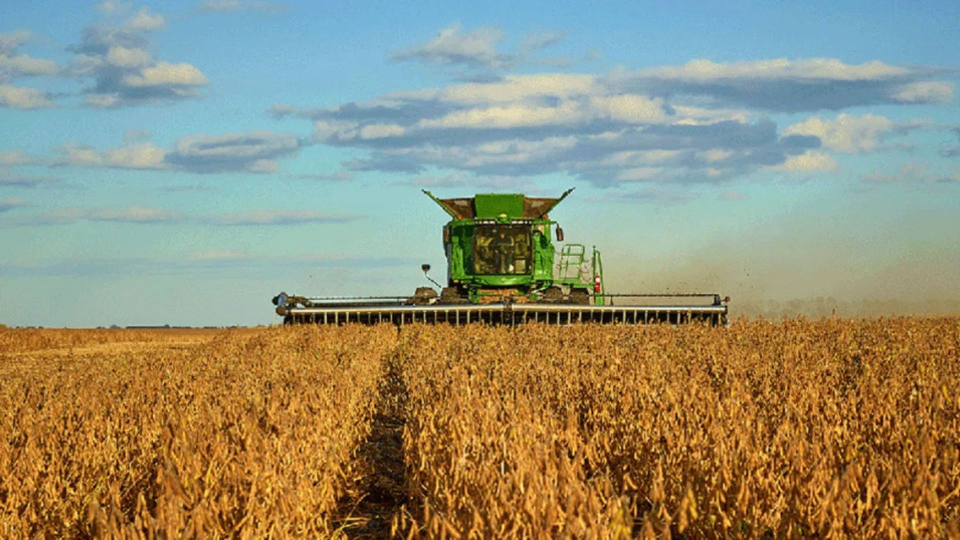 Lee más sobre el artículo “La baja de las retenciones es un aliciente para la producción y el impacto es positivo”