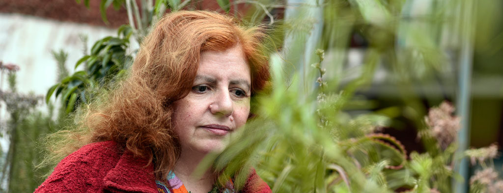 Lee más sobre el artículo Beatriz Vignoli ganó el Primer Premio Nacional de Poesía