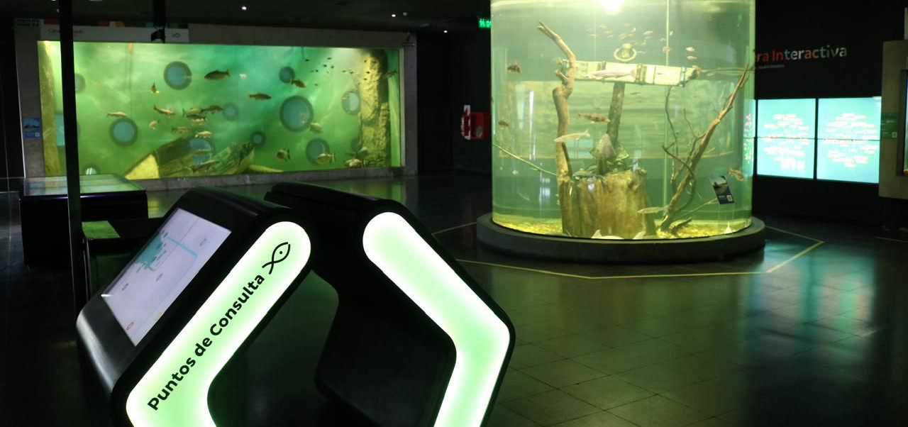 Lee más sobre el artículo Con más de 110 mil visitantes en 2025, el Acuario del Paraná se consolidó como centro de ciencia y educación