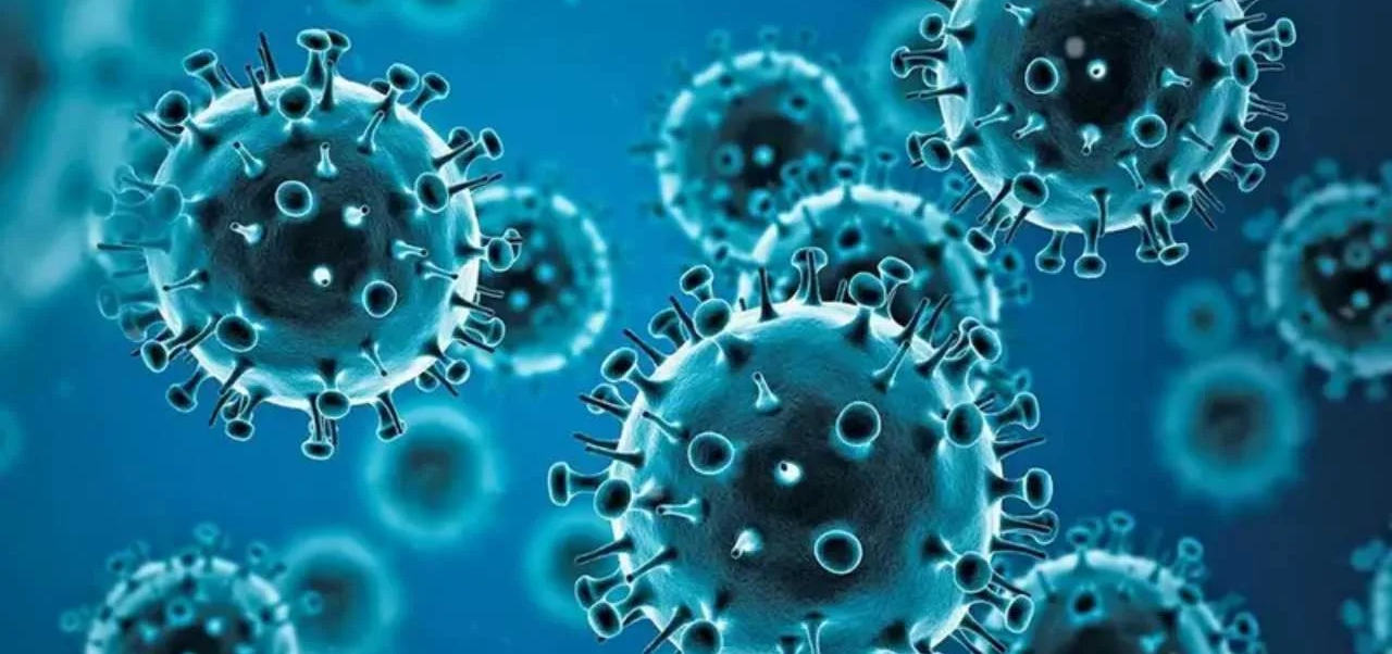 Lee más sobre el artículo Detectaron dos casos de gripe A H3N2 en Rosario y analizan adelantar la vacunación