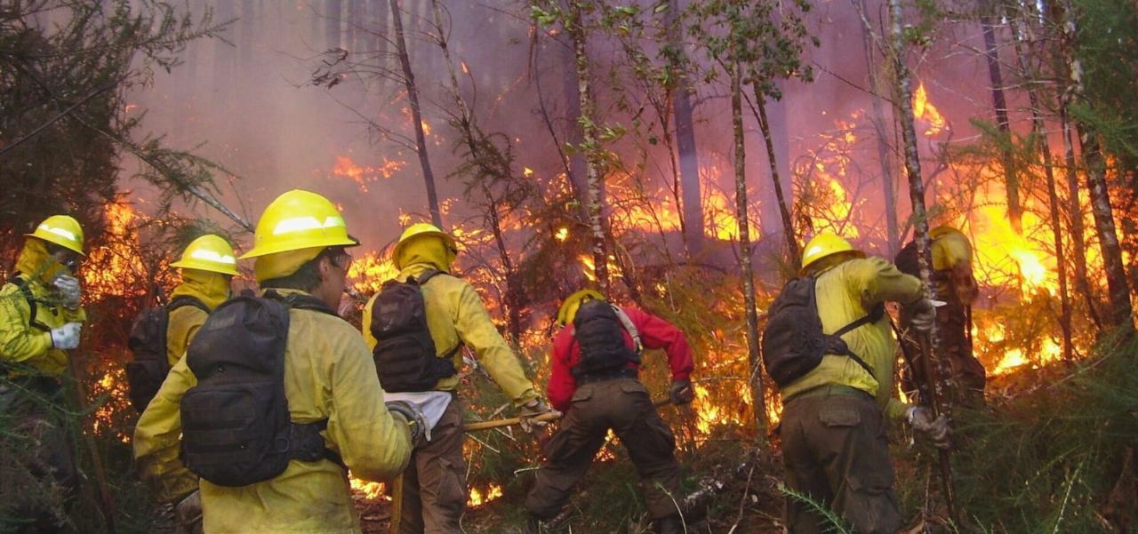 Lee más sobre el artículo Diputados piden que se declare la emergencia presupuestaria del Servicio Nacional del Manejo del Fuego